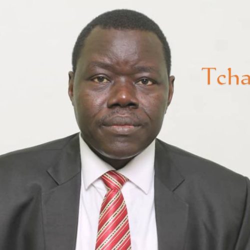 Tchad: N’Djamena a un nouveau maire