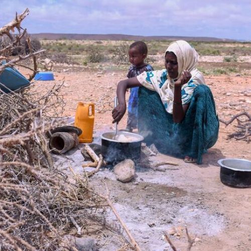 N’Djamena : l’Ombre de l’alimentation insalubre