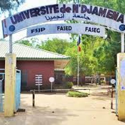 Les enseignants vacataires réclament l’intégration à la fonction publique