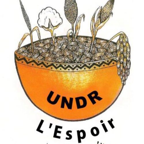 Tchad: le choix de Théophile Bongoro est une mascarade dit le vice président de l’UNDR